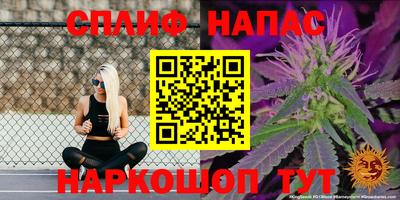 амф Будённовск