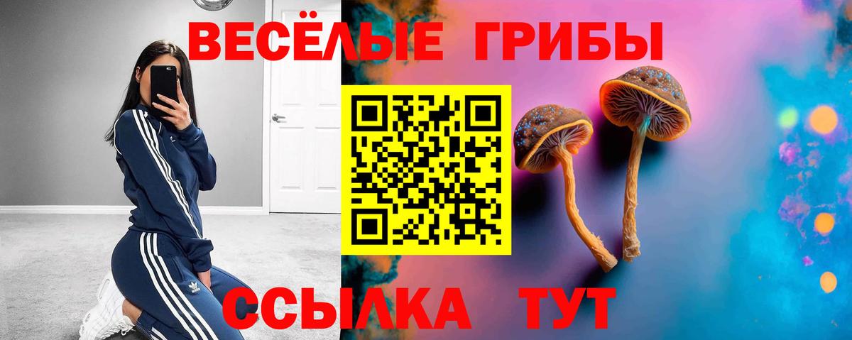 Фурманов  Псилоцибиновые грибы MAGIC MUSHROOMS  Вход с VPN 
